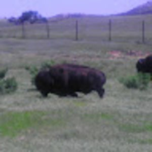 Meet your Posher, Nate